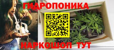 молекула духа Кинель